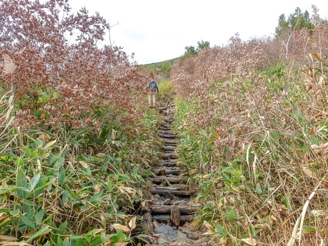 標高1600メートルを超えたあたりから