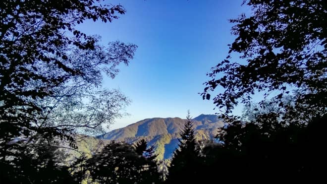 樹林帯から見える景色