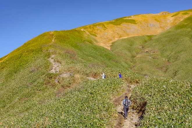 気候の変化が激しい場所にあることから森林限界が低く