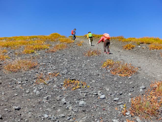 滑りやすい山道をひたすら登る姿は