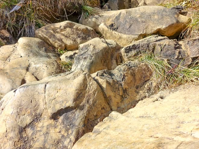 特に、黒く変色した部分は