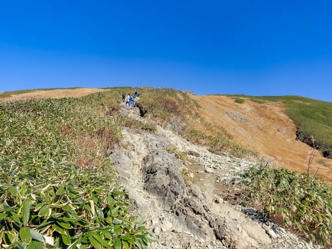直登ぎみに岩だらけの道のりが続きますが