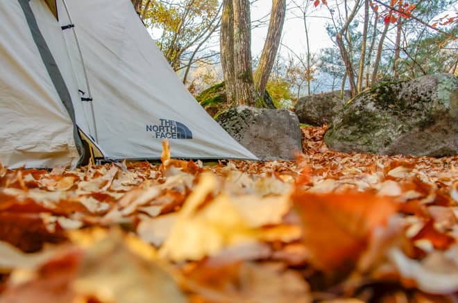 秋キャンプの魅力