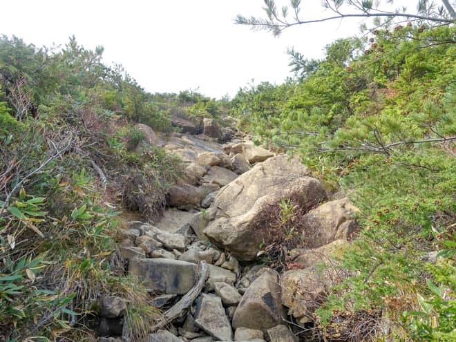 第二のベンチに近づくにつれ