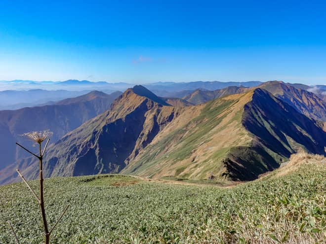 肩の小屋には分岐があり