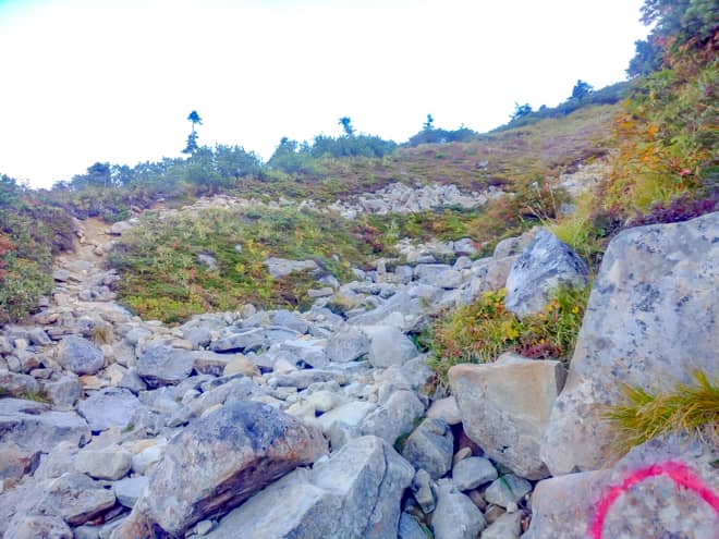 薬師峠からの登り