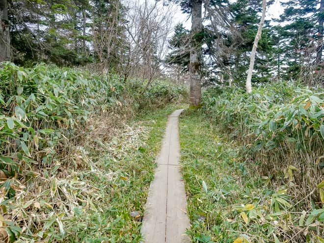 距離は長いですが