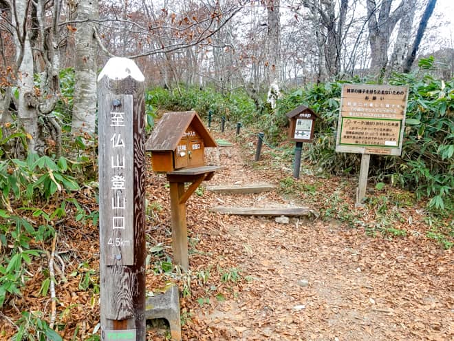 鳩待峠ルートからピストン登山をする場合
