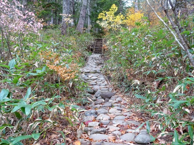 1つ目のベンチまでは景観ゼロの樹林帯が続きます
