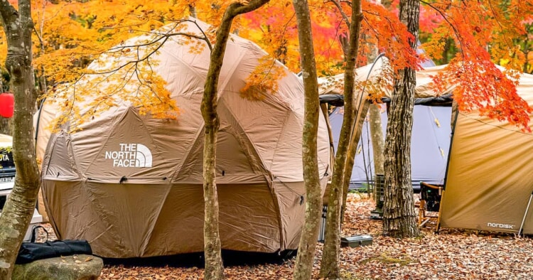 紅葉キャンプの楽しみ方！秋キャンプの魅力と気をつけるポイントをまとめました