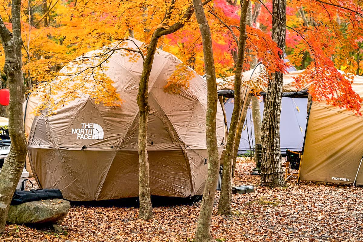 紅葉キャンプの楽しみ方！秋キャンプの魅力と気をつけるポイントをまとめました