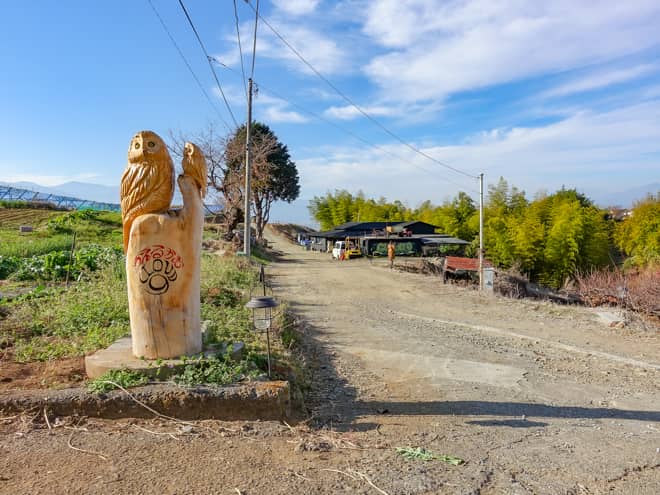 「Cloud9」の注意事項