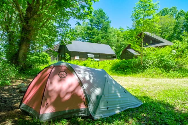 「Samaya2.5」の使用感 (2)