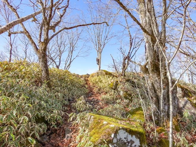 一体、いくつの小ピークを越えてきたのでしょうか