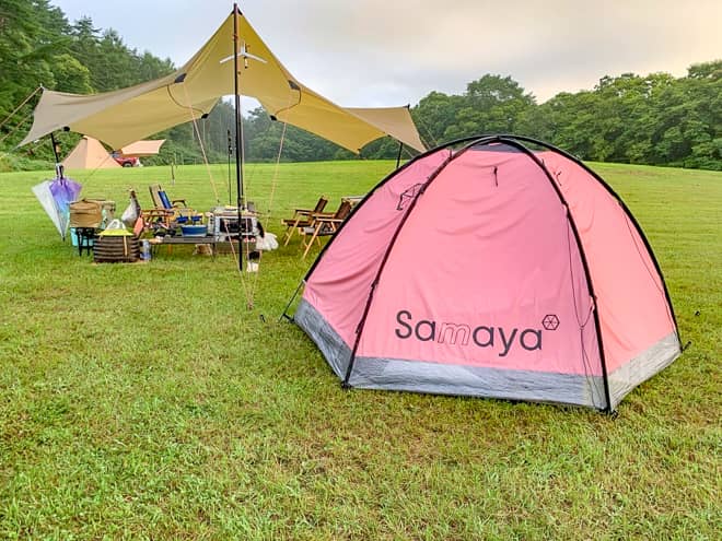 今まで見たことも無い派手な色