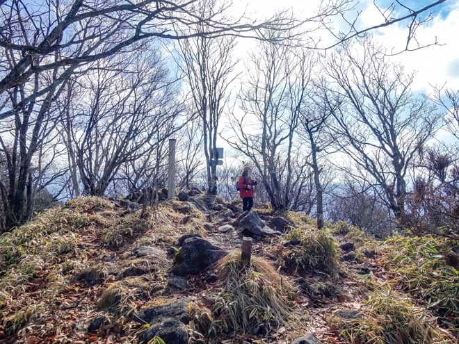 冬季は落葉で更に見晴らしが良くなるので