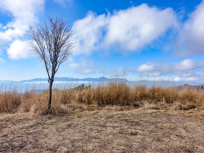 南西方向に目を向けると