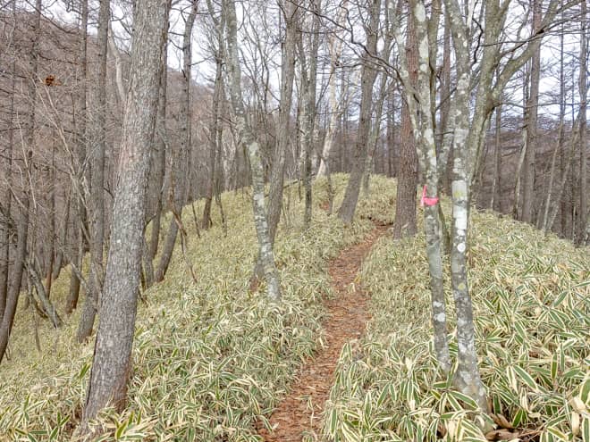 少しづつ勾配がきつくなっていき