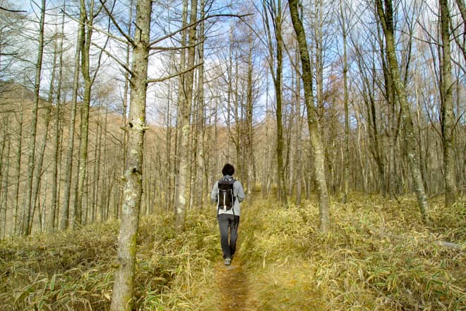 晩秋から冬が狙い目の登り易い山