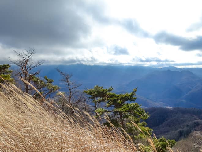 東側に目を向けると