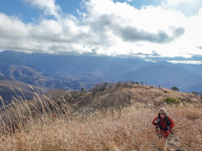 横尾山は太平洋に注ぐ富士川と