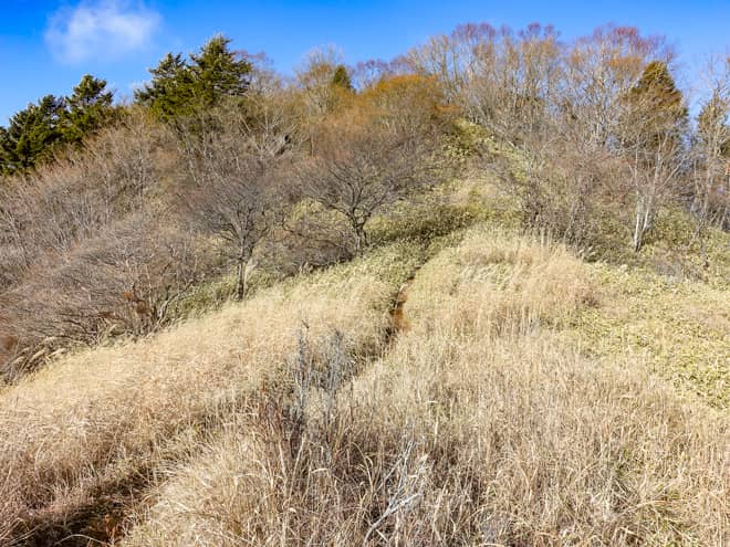 横尾山は山頂が東西に長く伸びる