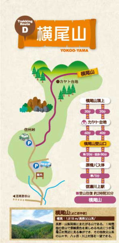 横尾山トレッキングルート