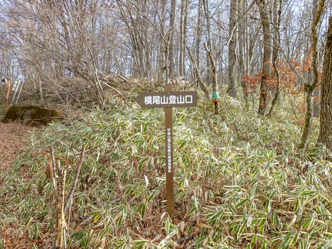 登山コースは1つしかなく