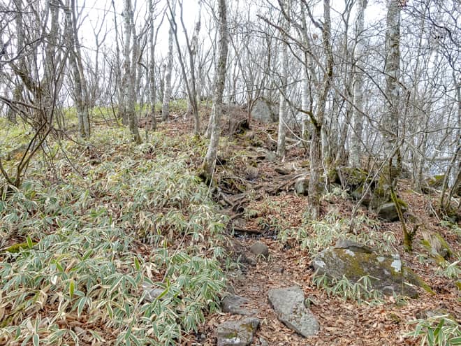 登山道から外れないように