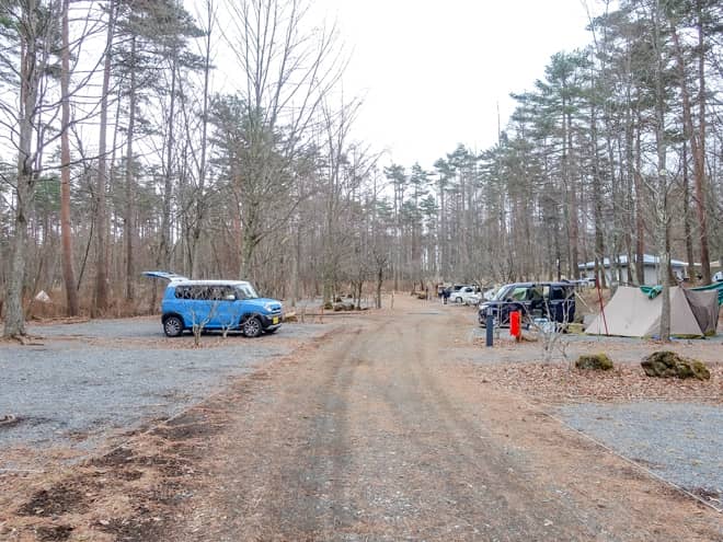 自然豊かな林間オートサイト