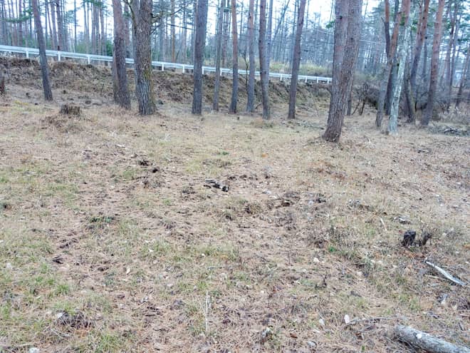 赤松フリーサイト