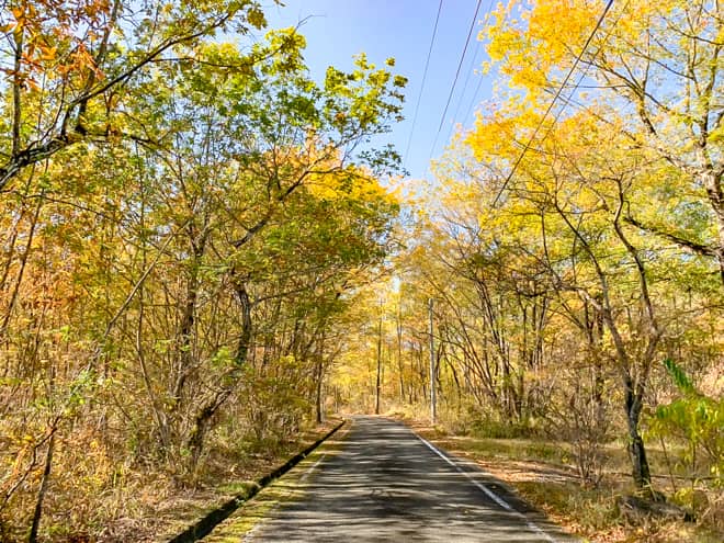 超メジャーなエリアではないので多少の穴場感がある