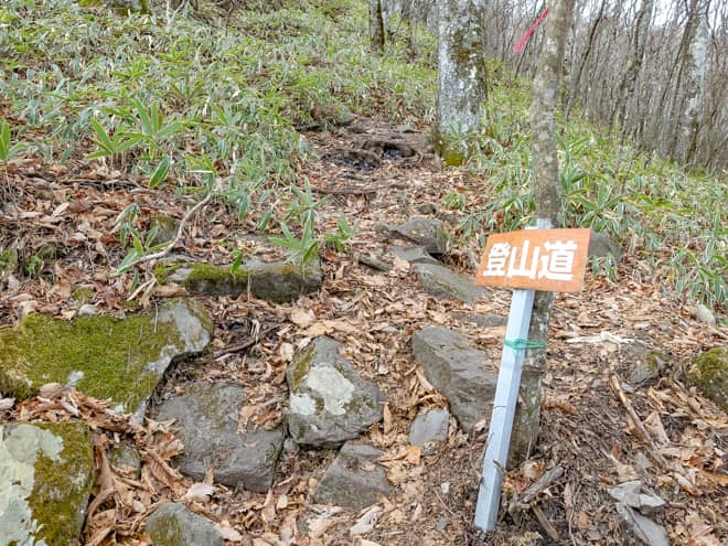 900メートル程歩くと