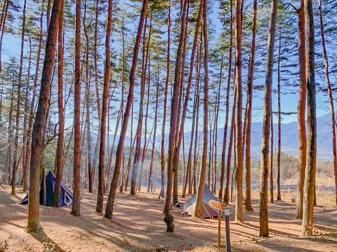 PICA八ヶ岳明野(旧キャンピカ明野ふれあいの里)