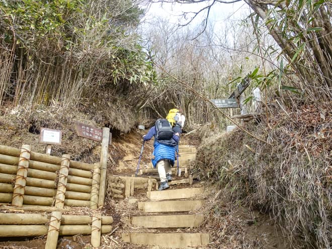 「金時山神社コース」の合流地点