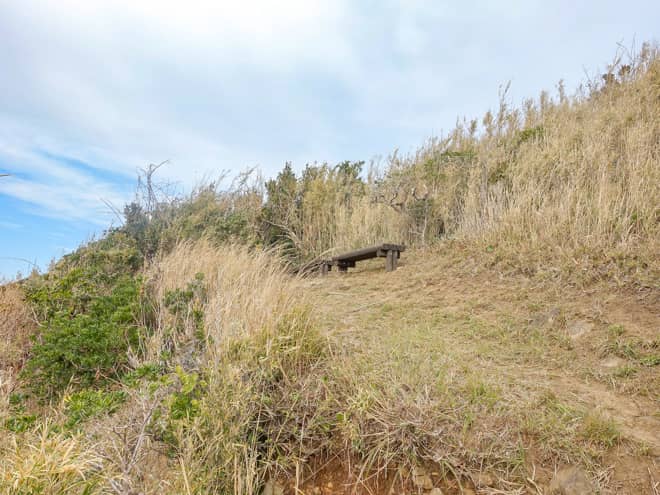 ここまで、木々に遮られた見晴らしの悪い