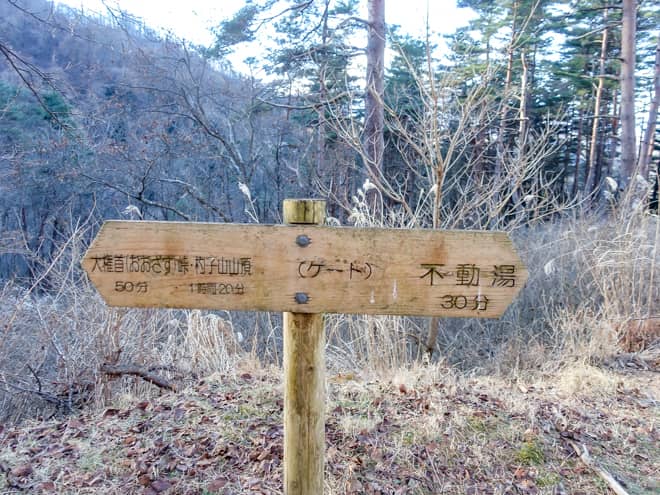 ゲート→大権首峠(おおざすとうげ)