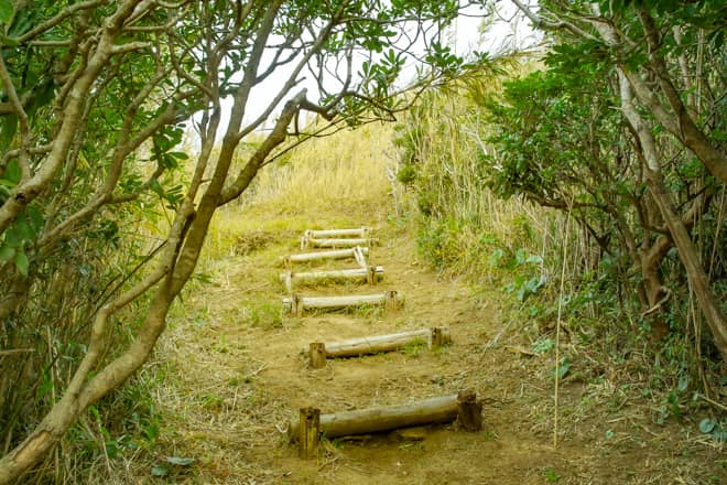 コースが多彩なので