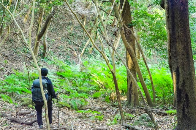 ジャングルコースと呼ばれているのは