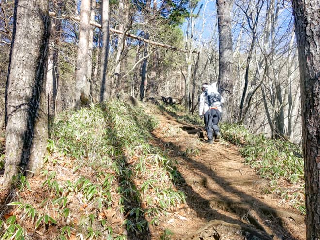 パラグライダーの発射台から先は急登続き