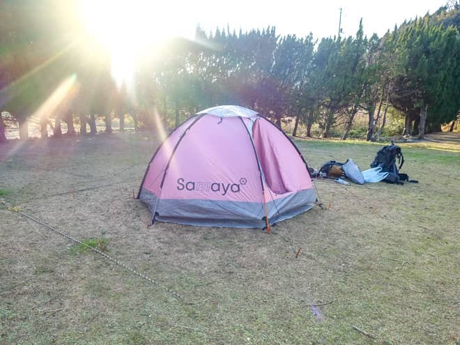 ペグの刺さり具合は？