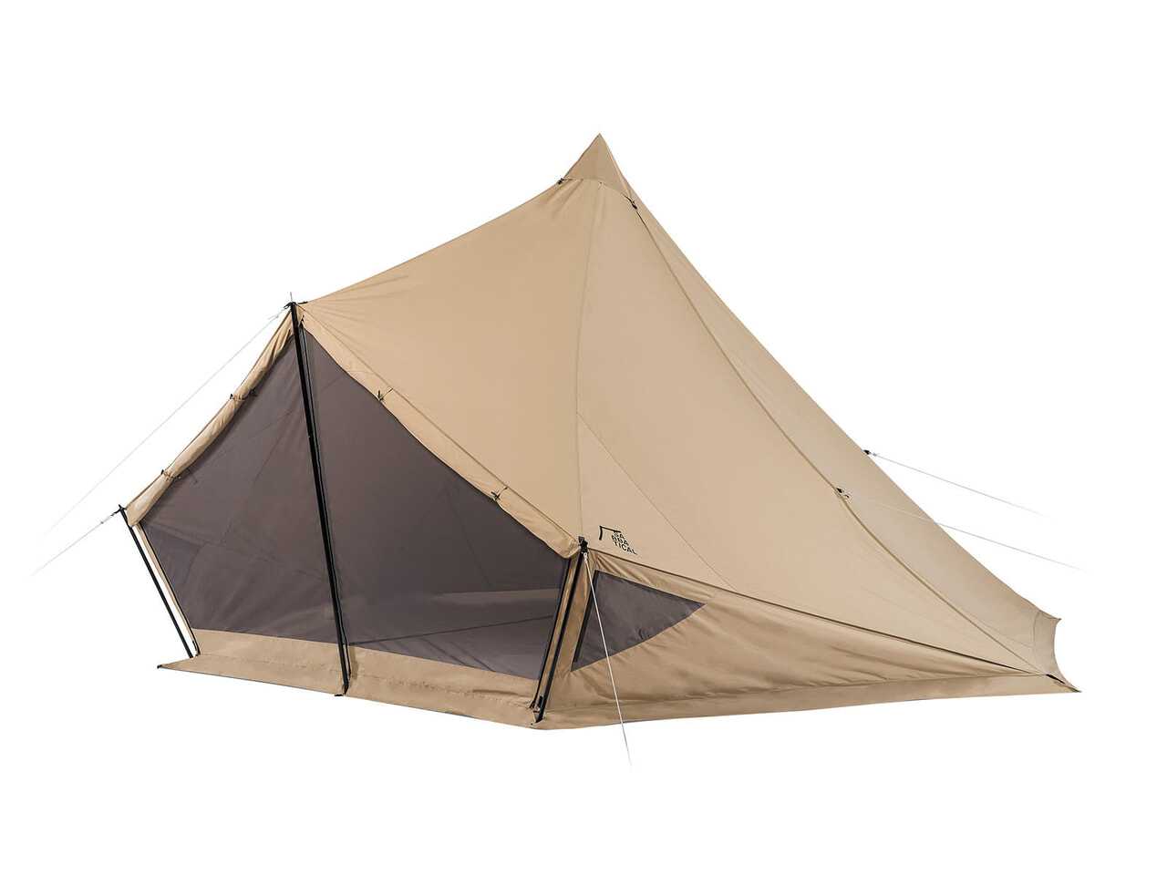 モーニンググローリー TC