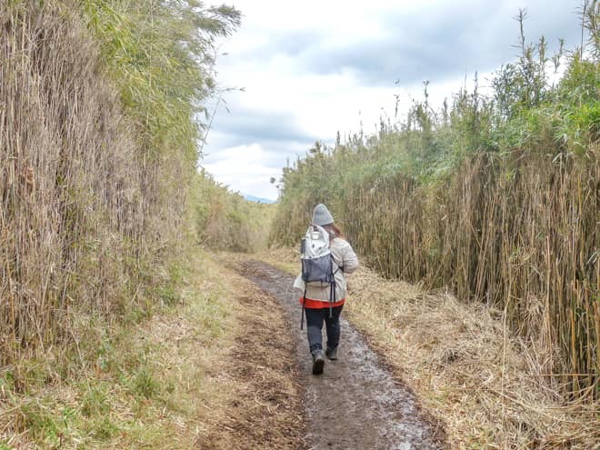 下山のコースタイムは