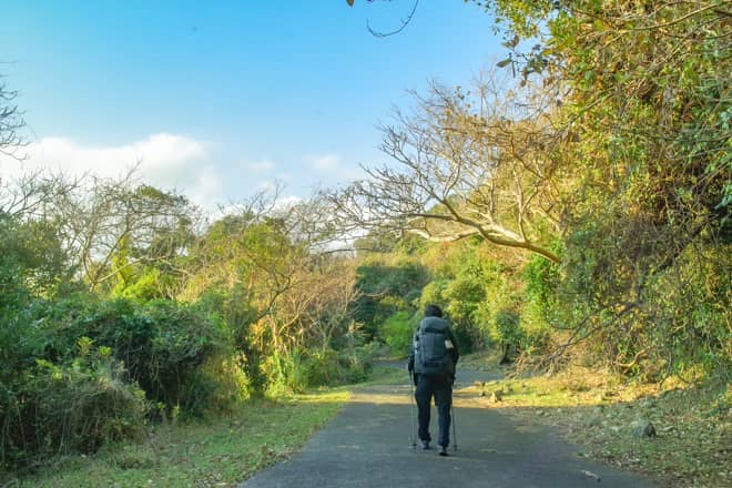 南伊豆ロングトレイルでわかったこと