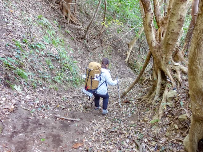 南伊豆歩道は集落が近づくにつれ道が荒れ