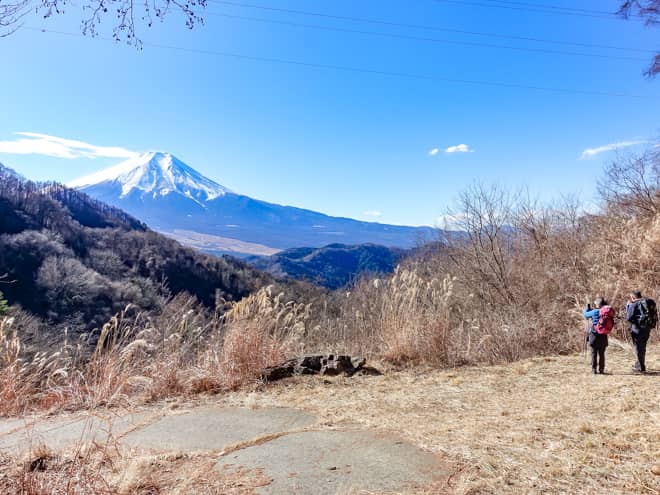 唯一の救いなのが