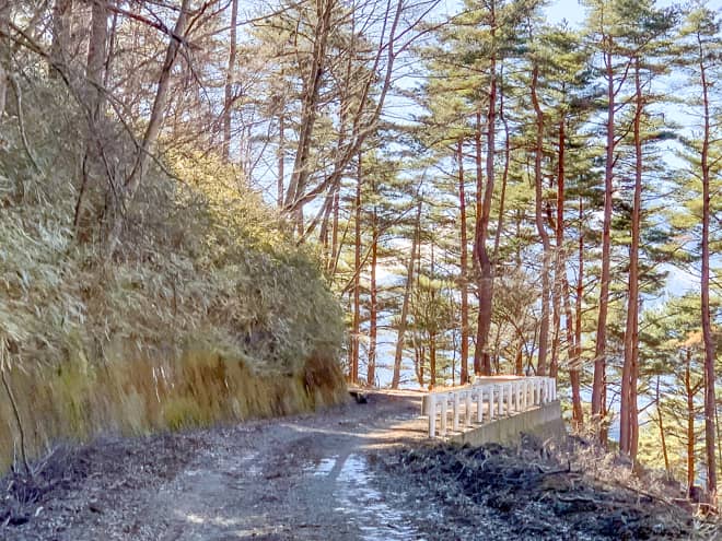 実質、本当の最短コースを取ることが出来る駐車場