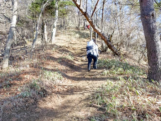 山頂までは典型的な直登の急登です。