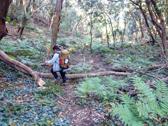 後半は「ジャングルコース」と呼ばれる下り道