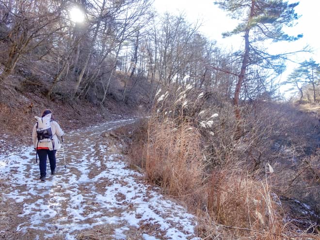 日当たりの悪い場所は